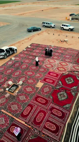 العبو يالطنايا 🕺#شمر #explore #شمر_الطنايا #viral #منشنو 