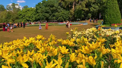 ပြင်ဦးလွင်ကန်တော်ကြီးဥယျာဉ်   #ပန်းပွဲတော်ရောက်အမှတ်တရ🌼🌼🌼🌼🌼 