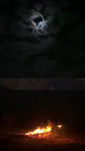 #كافحت_بالدنيه_بعز #بدون_حقوق توكلت_عليك_يا_الله_بكل_أموري #ترند_تيك_توك #شيلات_روعه_خواطر_ذوق #اكسبلورexplore #