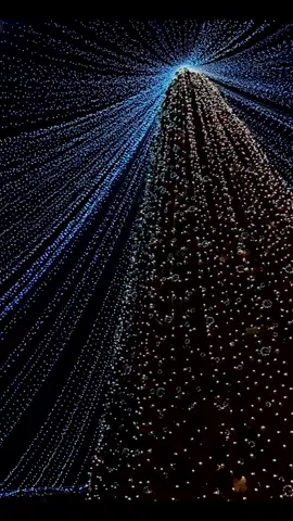 🎄❤ Naxçıvanın gözəl yolkası #yeniyılda #newyear #snowfestival #keşfemi #naxçıvan😎 #feliz2024 #keşffetimiaç #fyp #naxçıvanlılar #snowfest 