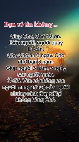 #giúp vật vật trả ơn giúp nhân thì nhân trả quán 