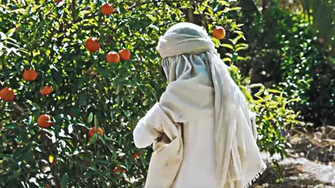 Muhammad: The messenger of ALLAH (Hz. Muhammed: ALLAH'ın elçisi) #muhammadthemessengerofgod #fypシ゚viral #ALLAH #hzmuhammad #islamic_video #fouryou #hzmuhammedallahınelçisi #goviral #islamichistory #hzmuhammadsav #muslimtiktoks 