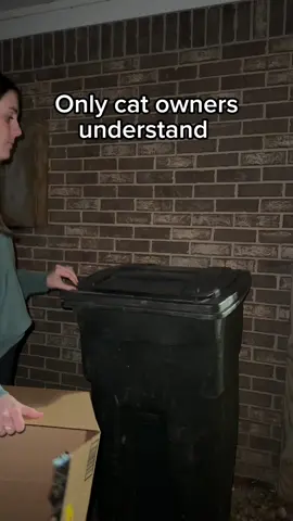 The best way to reuse Amazon packaging from buying cat toys #cats #funnycats #catmom #kuzcopluscleo #amazoncatfinds @Amazon @Amazon Influencer Program 