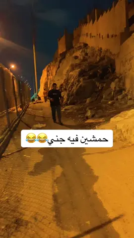 ريان طارد حمشين و ما جابو😂😂😂#ضحك #ريان_حمشين #2024 #خالد_الفيصل #قمر #سنه_جديده #الخميس #الجمعه #يوم_الجمعه 