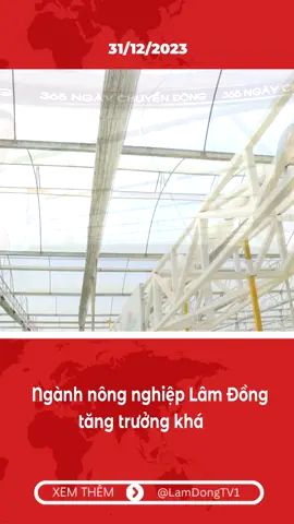 Ngành nông nghiệp Lâm Đồng tăng trưởng khá