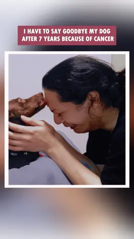 Saying goodbye dog is hardest thing 😭 #dog #heartbreak #animals #rescue #fyp #family 