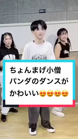 ちょんまげ小僧パンダのダンスがかわいい😍 #ちょんまげ小僧 #パンダ #ダンス #コラボ 
