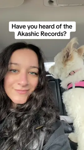 My dog Quartz was a paid actor  #akashicrecords #soulblueprint #quantumfield #energyhealing 