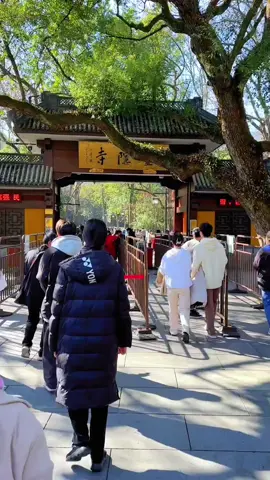 When you come to Hangzhou, you must visit the thousand-year-old Lingyin Temple....