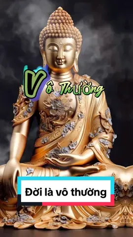 Lời phật dạy Đời là vô thường #hanhphuc #binhan  #loiphatday #phatphapnhiemmau #phatphap #xuhuong #trending #viraltiktok  #ynghiacuocsong #trend  #phatphap 