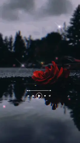 #CapCut 61DE NOVIEMBRE #paratii #rolitas30segundos #chrislebron #61denoviembre #spotifymusic #rolitaschidasツ #paraestadoswhatsaap🎶🎧🥰🎺 #NavidadEnTikTok @TikTok 