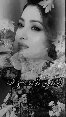 عسل حبك يبعد الروح...شهداي🌹 اذا حبك هديه اشلون..شهداي🌹 حرت للغالي غير الورد...شهداي🌹 هديتك روحي وعيوني سويه..🌹 #مساء_الخير #الفنان #طاهر_العجيلي #اكسبلور 