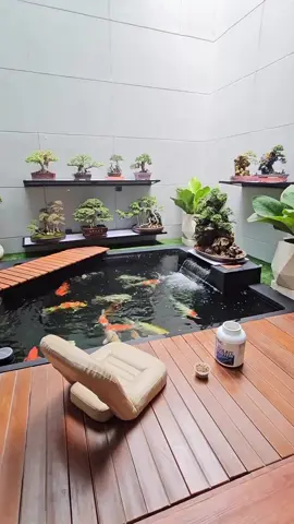 desain kolam koi indoor🐟 #desainkolamkoi #desainrumah #desainrumahminimalis 