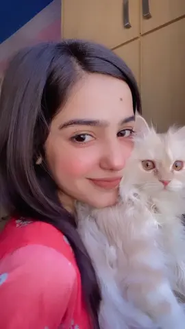 🧡🧡✨#viral #trending #growmyaccount #anabiya 