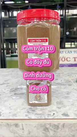 Cám chộn t10 có đầy đủ dinh dưỡng cho cá#sanggupy #nguyenngocsang #cabaymau#ca7mau #review #dcgr #LearnOnTikTok #thetrieuguppyfarm #vothetrieu 