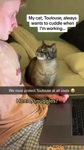I’d quit my job for Toulouse 😭😭😭 #Pubity (@Toulouse & Tibbs via @collab)