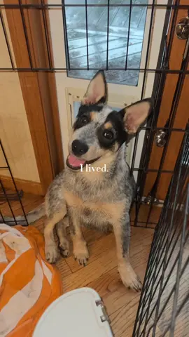 2023 you were full of surprises! ##newyear