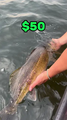 How to get started fishing in 2024 with a 50 dollar budget. #fishing #fishingforbeginners #beginnerfishing #fishingtiktoks 