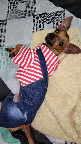 #navidad #findeaño #viral 