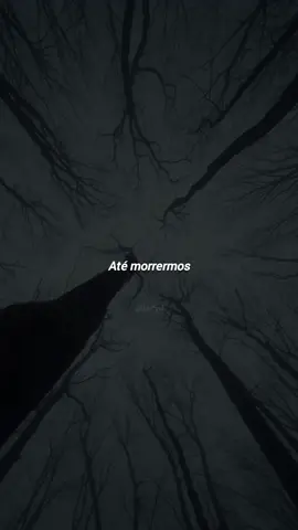 Till We Die – Slipknot #legendas #fypシ #legendasrock #metal #rock #slipknot #tillwedie 
