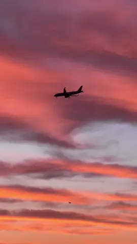 a few favorites from 2023 