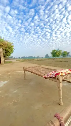 Here is 2024 First morning Village life 😍.... #punjab #punjabi #punjabisong #punjabisong #Pakistan #everyone #pageforyou #reelsviral #pakistanarmyzindabad 