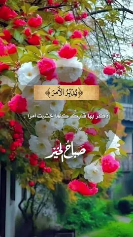 #صباح_الخير #صباحيات_الشتاء #حالات_واتس #ستوريات #بدون_حقوق #دعاء #تصاميم #capcut #ترند #اللهم_صل_وسلم_على_نبينا_محمد #الصلاة 