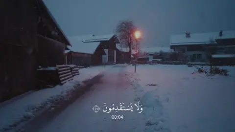 يونس - #عبدالرحمن_مسعد 