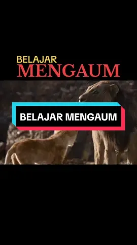 Ayah simba nak dengar simba mengaum #fyp #fypmalaysia #janganstress2santai #videolawakmalaysia #gelaksampaimenangis 