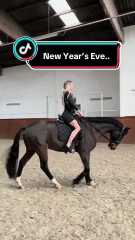 Happy new year everyone 🎊😂🖤 IG:annchen.augustine #fy #foryou #equestrian 