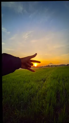 #fyp #gcamLMC#foryou #sunsets_sunrise#nttpride🏝🔥lokasi potret persawahan lagurea soa ngada..maaf kalau kurang bagus sy hanya user phonegrafi..sy gabungkan foto mode ultrawide&macro 🙏