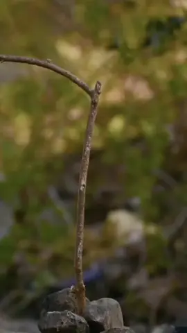 #نشيد_اسلامي #اسمع_وابشر_يامن_تفرح #محمد_رسول_الله #الصلاة_والسلام_عليك_ياحبيبي_يارسول_الله #خليها_على_ربي #اللهم_صلي_على_نبينا_محمد #استحوذ_عليهم_الشيطان_فانساهم_ذكر_الله @محمد أحمد رمضان @غۣۗـۙبۣۗـۙوُر مۣۗـۙصۣۗـۙر @راحة نفسية 