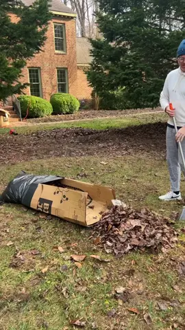 Raking leaves cardboard box hack #homehacks #rakingleaveshack 