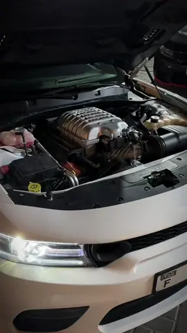 #scatpack #scatpack🇺🇸🧿🐝 #obama2020 #challenger✈️🇺🇸 