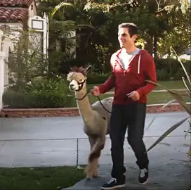 Sorry about the quality // #fyp #foryou #trending #edit #viral #modernfamily #modernfamilyedit #phildunphy #phildunphyedit #tyburrell 