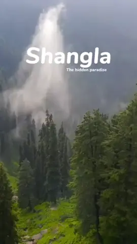 Beautiful memories of 2023 in shangla ..shangla beauty is like a heaven #shangla #shanglavalley #unfrezzmyaccount #pleasedontunderreviewmyvedios🔥🚩 #