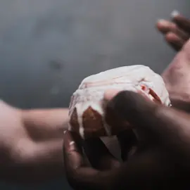 all this for a sharpie || #thebear #thebearfx #thebearedit #carmyberzatto #series #entertainment #fypシ 