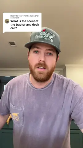 Replying to @user4734854866273 Get freshhhh. #scentsouth #tiktokshop #airfreshener #fyp 