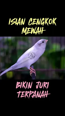 kenari af cengkok isian mewah