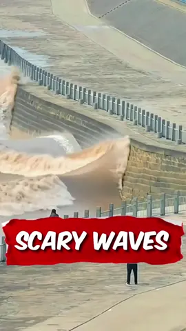 Scary Waves! OMG! #scary #waves #big #fyp #richyvidz