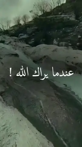 التوبة و الرجوع الى الله  #التوبة #التوبة_والرجوع_الى_الله #كلام_من_القلب #كلام_من_ذهب #صباحيات #فيديوهات #مقاطع_اسلامية #اسلاميات_فيديو #عبارات #اكسبلور  #foryou #tiktoklong 