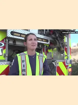 Live Rescue Freeway Tree (Season 1)   _Part 2