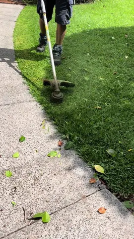 Some crispy edges from Blossom🌼 #blossom #lawndetailer #edging #crispy #grasstok #lawncare #garden #satisfying 
