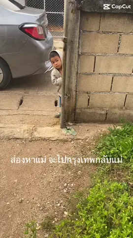สงสารหนูจัง  ยืนเฝ้ารถ เกือบ 1 ช.ม  ไม่ยอมไปไหนเลย  หลอกไป.ื้อขนมหลอกไปเที่ยวไม่ไปไหนเลย  จะไปแต่กรุงเทพ ใจจิขาดตามลูก😭😭