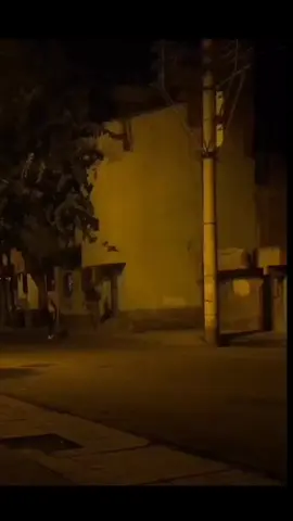 2.6 M izlenen video yine sahnede..🫡#komandouzmançavuş #bordeauxmaville #özelgüvenlik #bordo #bereliler #ışık #gecekuşu 
