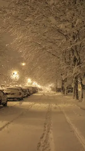 🇺🇸USA🇺🇸 📍California 🎥 @lanatureshub  #travel #reels #newyear #travelreels #winter #snow #snowing #wintertime #january #january2024 #2024 #usa #usawinter #wintercalifornia #california #visitusa #visitcaliforni #loveusa #lovecalifornia #usatravel #usatrip #californialove #americandream #usa2024 