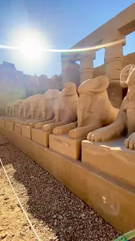 طريق الكباش معبد الكرنك #Egypt #luxor #الأقصر #ramses #مصر #معبد #آثار_فرعونية #فراعنة #فراعنة_مصر 