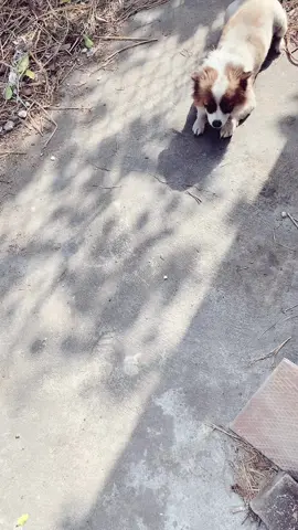 M nhiều cái t ko muốn nói đâu #xuhuong #2023 