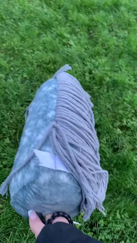 First crosscountry with sam do u have any ideas on what to do#hobbyhorse #lemieux #money #equine #realsport 