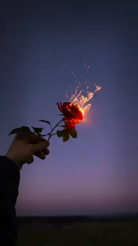 #sadd_97 @TikTok Bangladesh @Niloy is back 